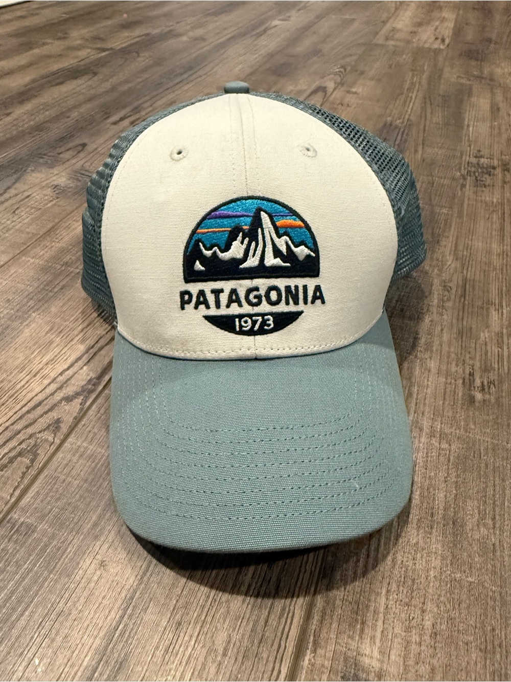 Patagonia Trucker Cap in Cream and Light Blue with Mountain Logo